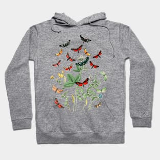 Butterflies Hoodie